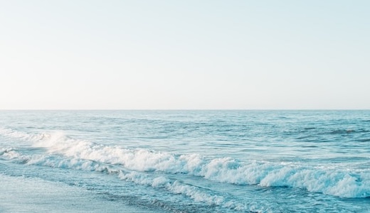 医療DX推進の体制に関する事項及び情報の取得・活用等について